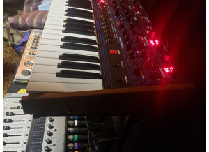 Dave Smith Instruments OB-6 (2739)