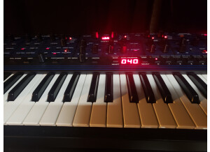 Dave Smith Instruments OB-6 (42965)