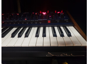 Dave Smith Instruments OB-6 (9595)