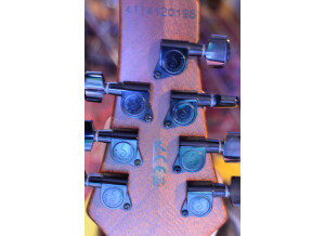 Fame Forum IV (81172)