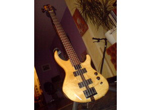 Eden Electronics Ampli David Eden Valu-Tech Series 400W RMS