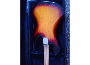 IMG_20211115_131613391