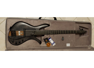 Ibanez AFR4PBP (25853)