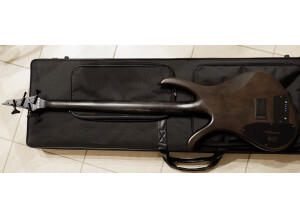 Ibanez AFR4PBP (81433)