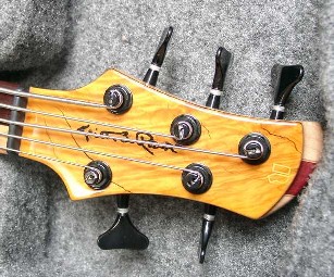 Roscoe Guitars LG 3005