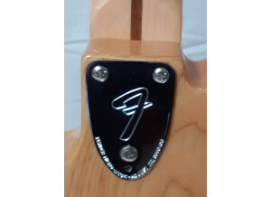 Fender 2018 Limited Edition '72 Telecaster Custom w/Bigsby (95032)