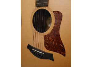 G&L ASAT Classic Bluesboy Semi-hollow (41807)