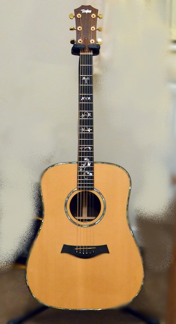 Taylor 910