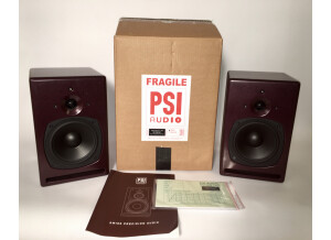 PSI Audio A 17-M (7560)