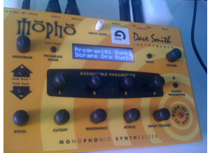 Dave Smith Instruments Mopho (32110)