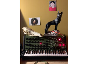 Korg MS-20 FS (9349)