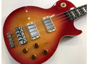 Gibson Les Paul Standard Bass (70658)