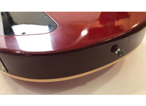 Gibson Les Paul Standard Bass (67317)