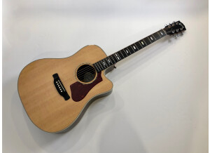 Gibson Hummingbird Rosewood AG 2018 (89951)