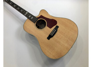 Gibson Hummingbird Rosewood AG 2018 (66200)