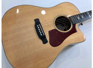 Gibson Hummingbird Rosewood AG 2018 (72094)