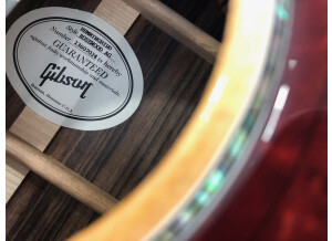 Gibson Hummingbird Rosewood AG 2018 (61278)