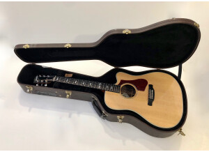 Gibson Hummingbird Rosewood AG 2018 (22291)