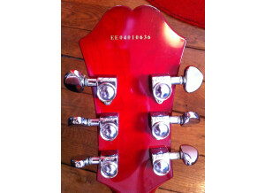 Epiphone [Archtop Series] The Dot - Cherry