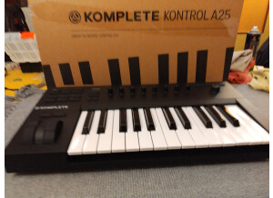 Native Instruments Komplete Kontrol A25 (60222)