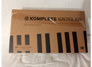 Native Instruments Komplete Kontrol A25 (39628)