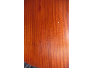 Cort Earth 60 (58483)