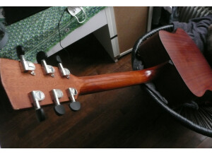 Cort Earth 60 (23341)