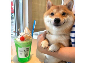 6D957371-0B1E-488E-BFD0-E03851661467