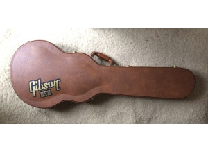Les Paul housse.JPG