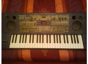 Roland EG-101 (91441)