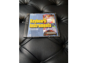 Roland L-CDX-02 Keyboard Instruments (35433)