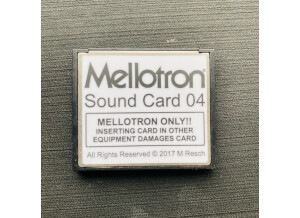 Mellotron M4000D Digital (31342)