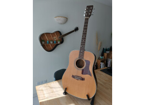 Tanglewood TW15 NS (25695)