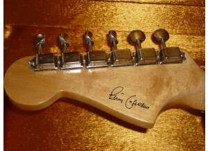 Fender [Artist Series] Elvis Costello Signature JazzMaster