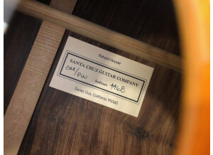 Santa Cruz OM/PW (64075)