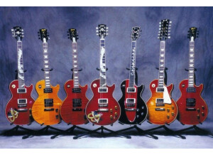 Gibson Les Paul Signature Slash Snakepit