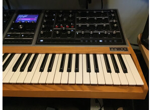 Moog Music Moog One 16 (37501)