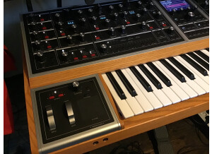 Moog Music Moog One 16 (12684)