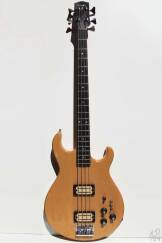 Carvin LB50