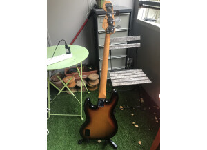 Fender Reggie Hamilton Standard Jazz Bass (41980)