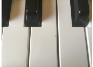 Dave Smith Instruments Prophet 08 Pot Edition (19978)