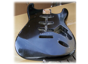 Fender Cuervo X Fender Agave Stratocaster