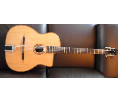 Gitane DG-340 Stephane Wrembel