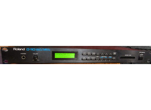 Roland D-110 (77418)