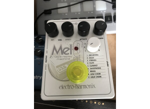 Electro-Harmonix Mel9 Tape Replay Machine (43427)