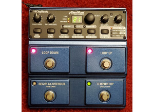 DigiTech JamMan Stereo (58630)