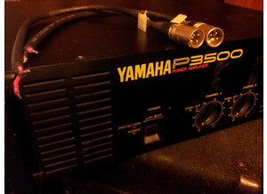 Yamaha P3500 (13704)
