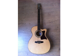 Tanglewood CTW 170