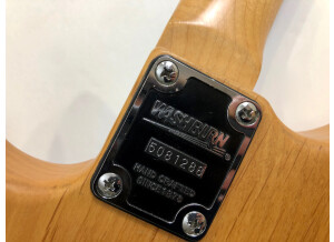 Washburn N2 NMK (14175)