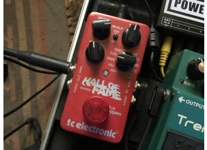 TC Electronic Hall of Fame Reverb (44560)